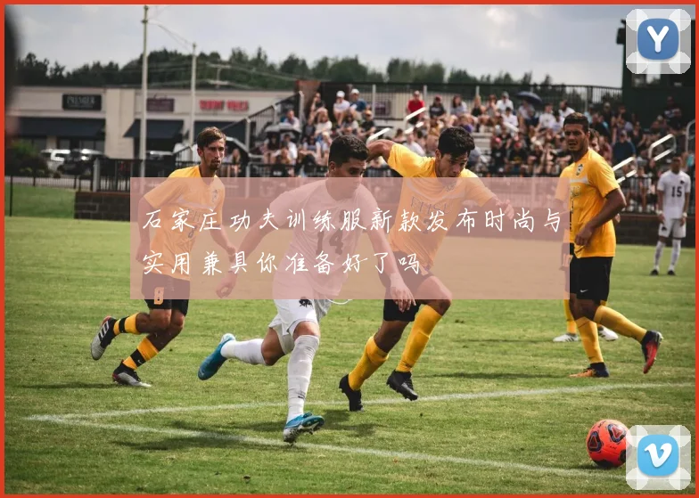 石家庄功夫训练服新款发布时尚与实用兼具你准备好了吗